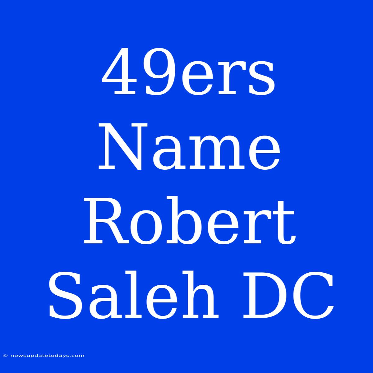 49ers Name Robert Saleh DC