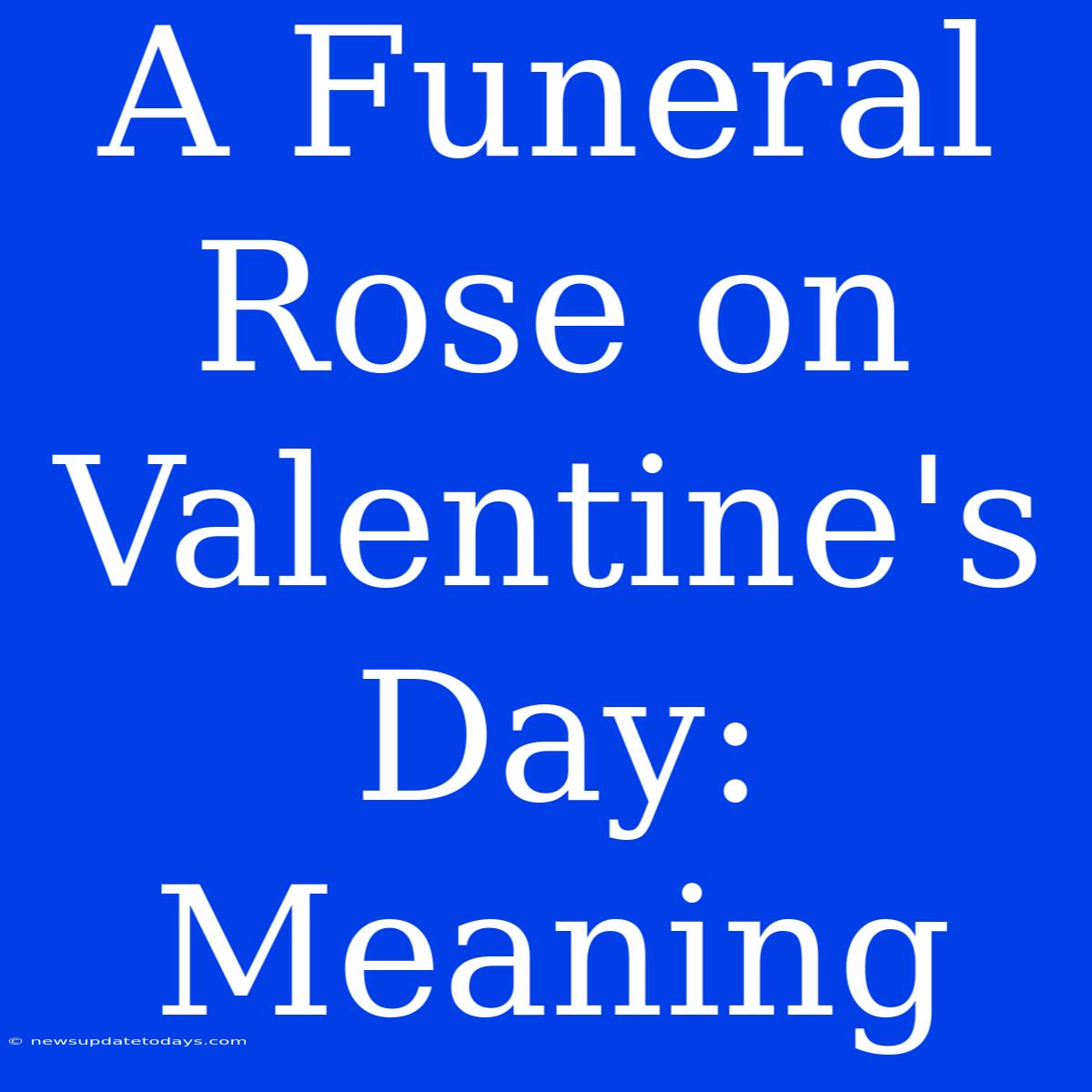 A Funeral Rose On Valentine's Day: Meaning