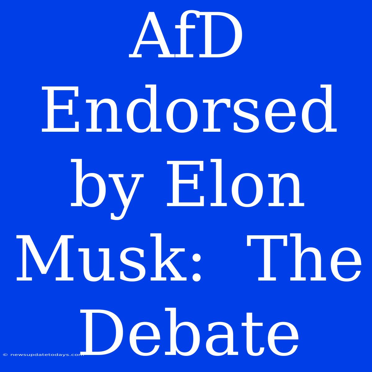 AfD Endorsed By Elon Musk:  The Debate