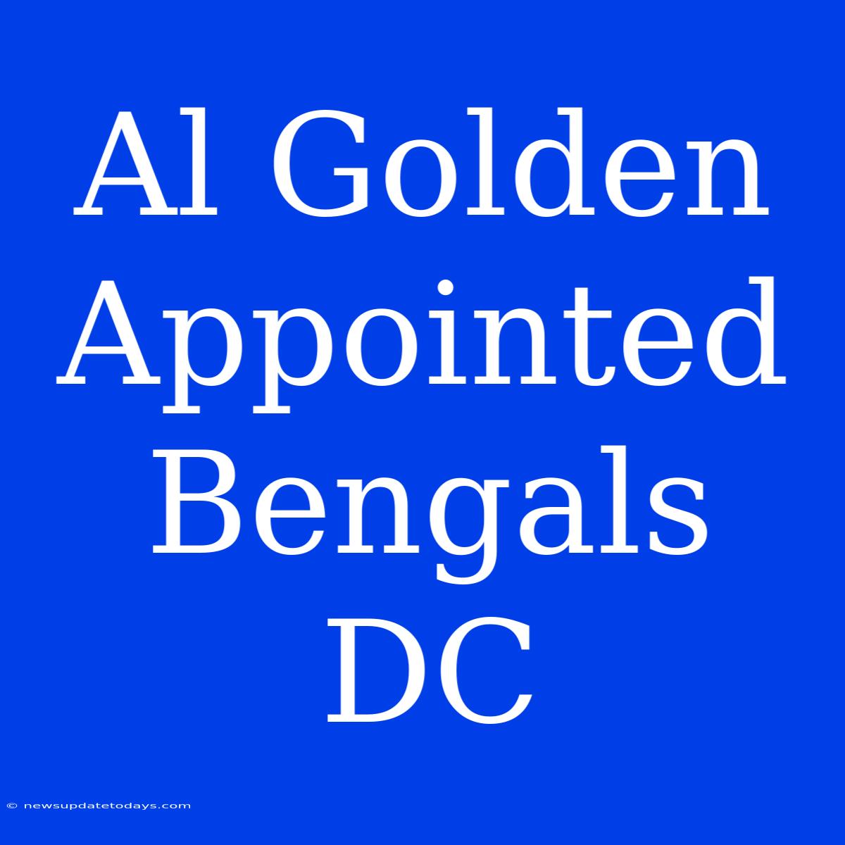 Al Golden Appointed Bengals DC