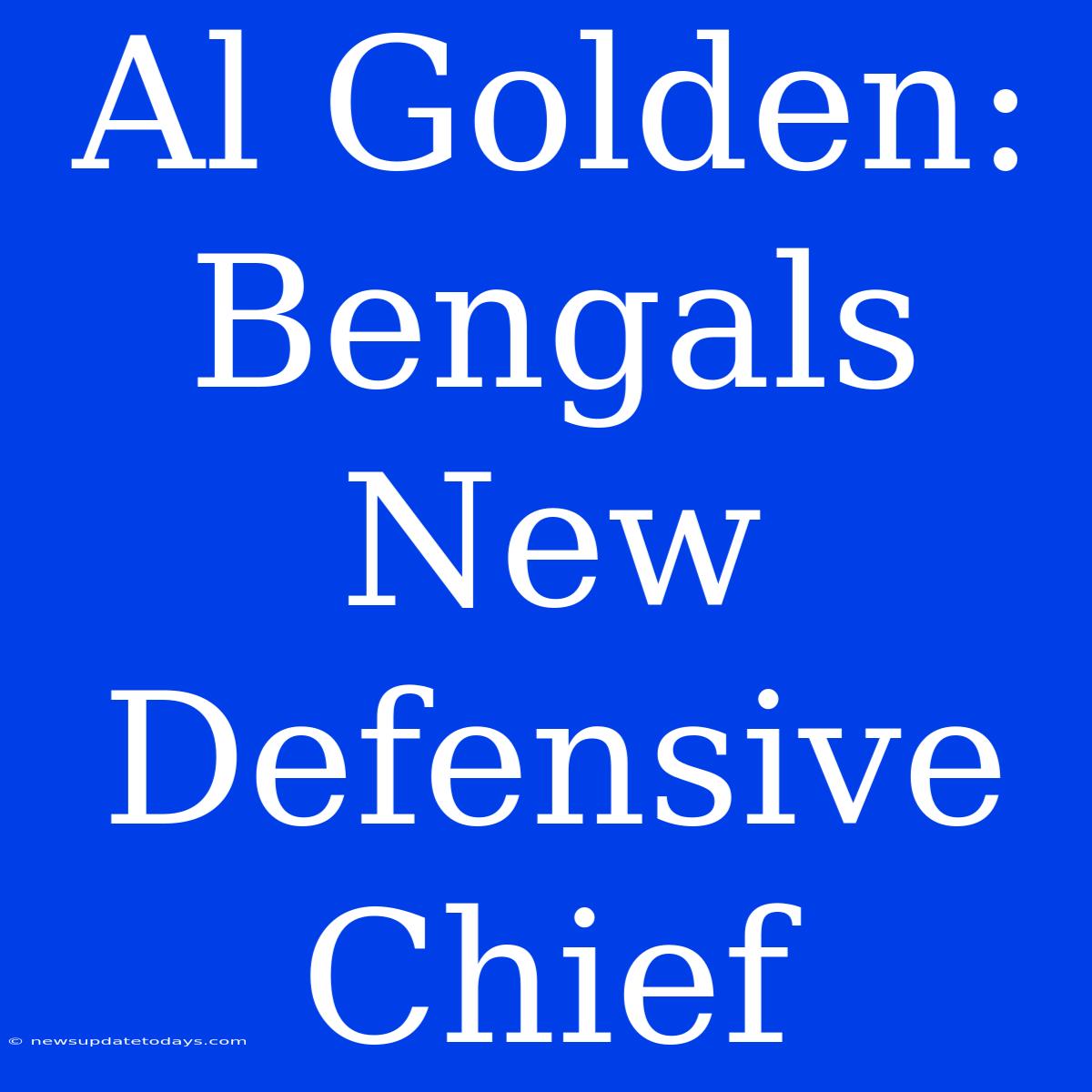 Al Golden: Bengals New Defensive Chief