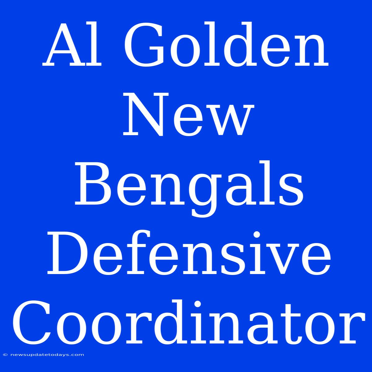 Al Golden New Bengals Defensive Coordinator