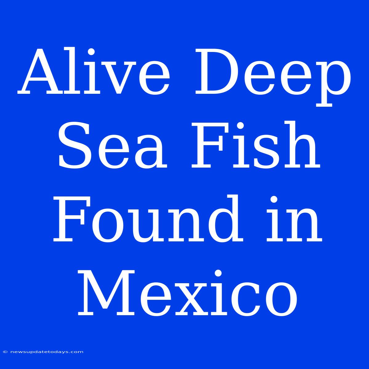 Alive Deep Sea Fish Found In Mexico