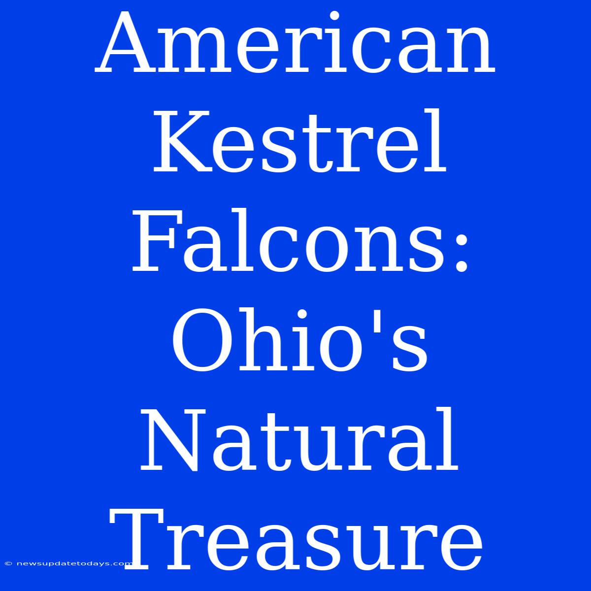 American Kestrel Falcons: Ohio's Natural Treasure