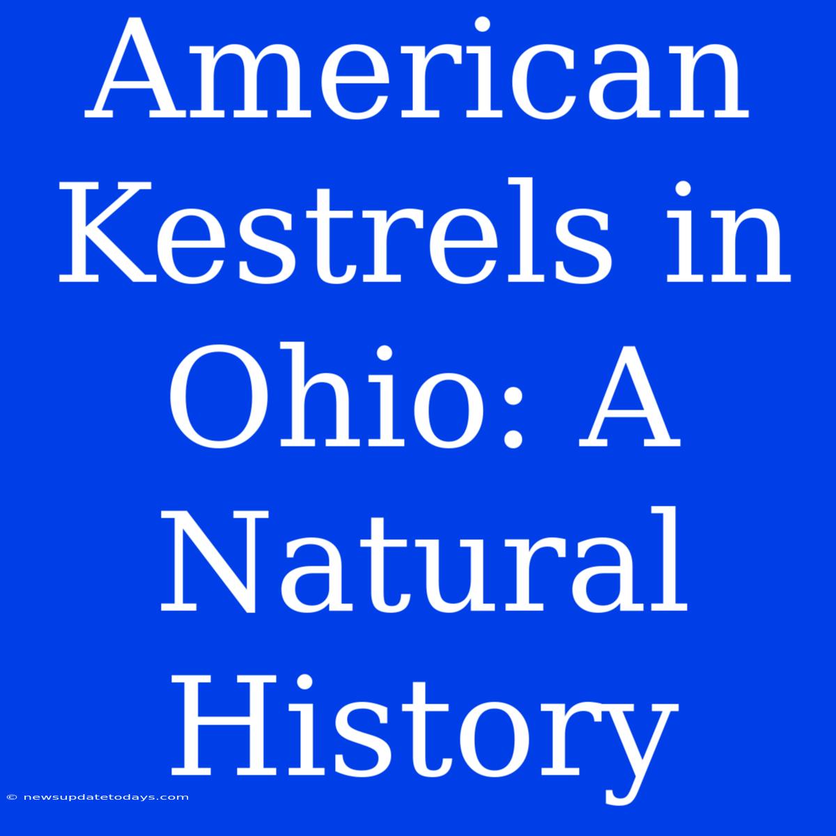 American Kestrels In Ohio: A Natural History