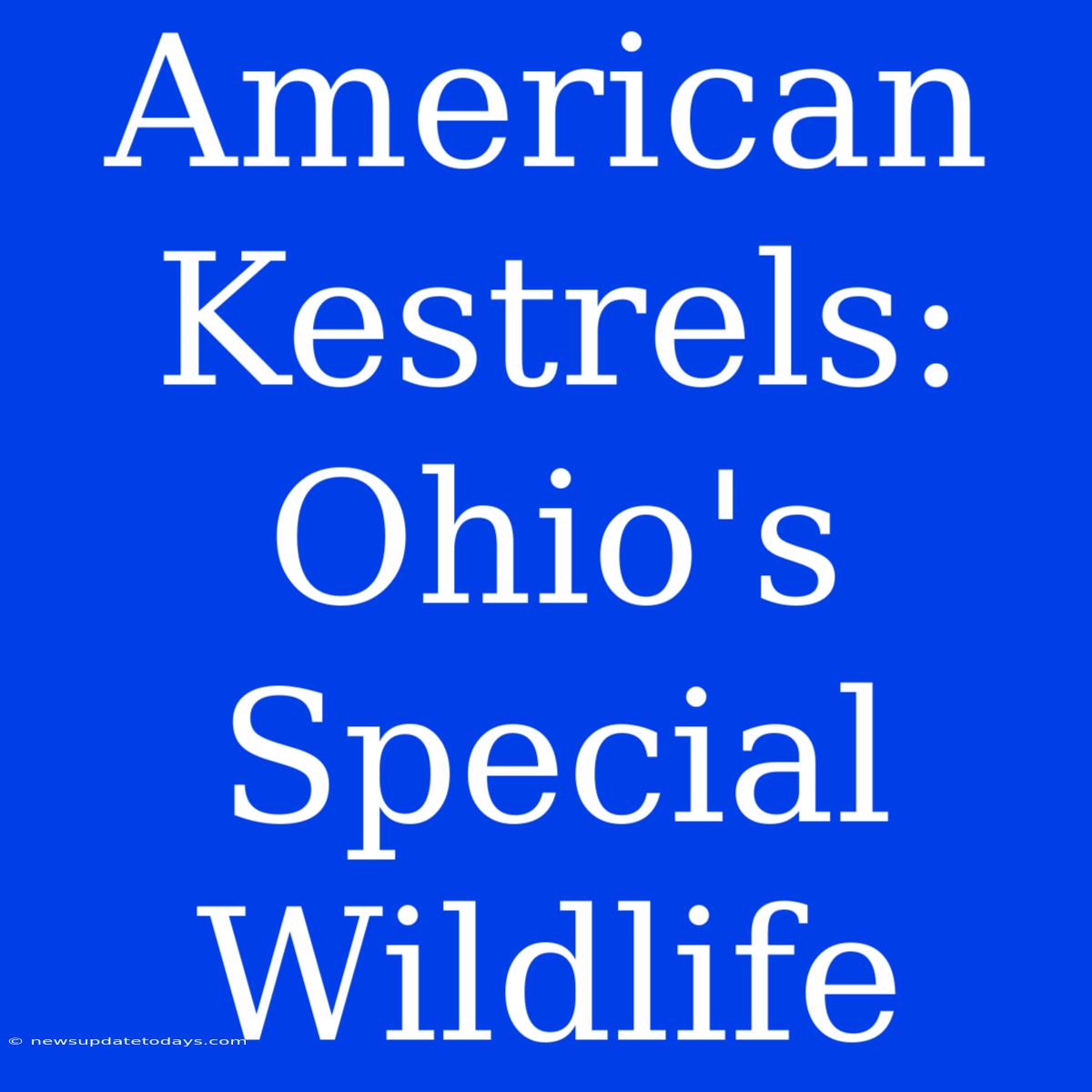 American Kestrels: Ohio's Special Wildlife