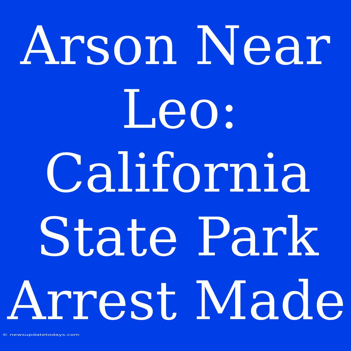 Arson Near Leo: California State Park Arrest Made