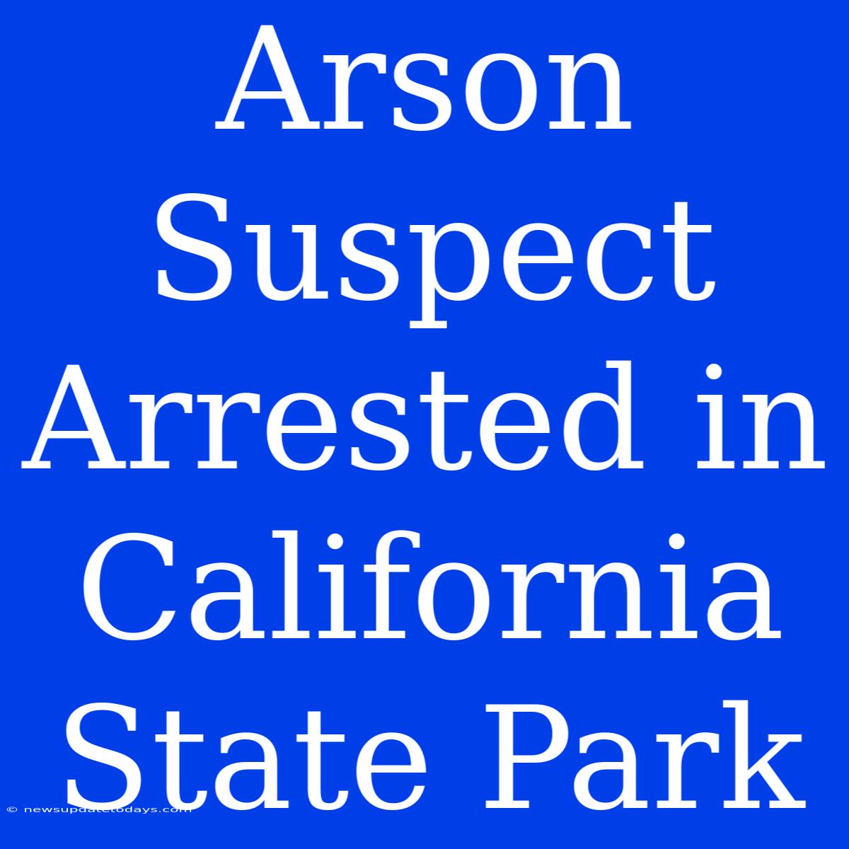 Arson Suspect Arrested In California State Park