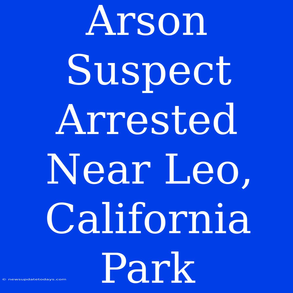 Arson Suspect Arrested Near Leo, California Park