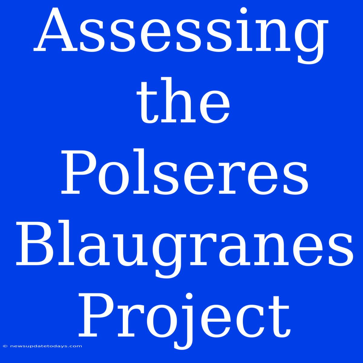 Assessing The Polseres Blaugranes Project