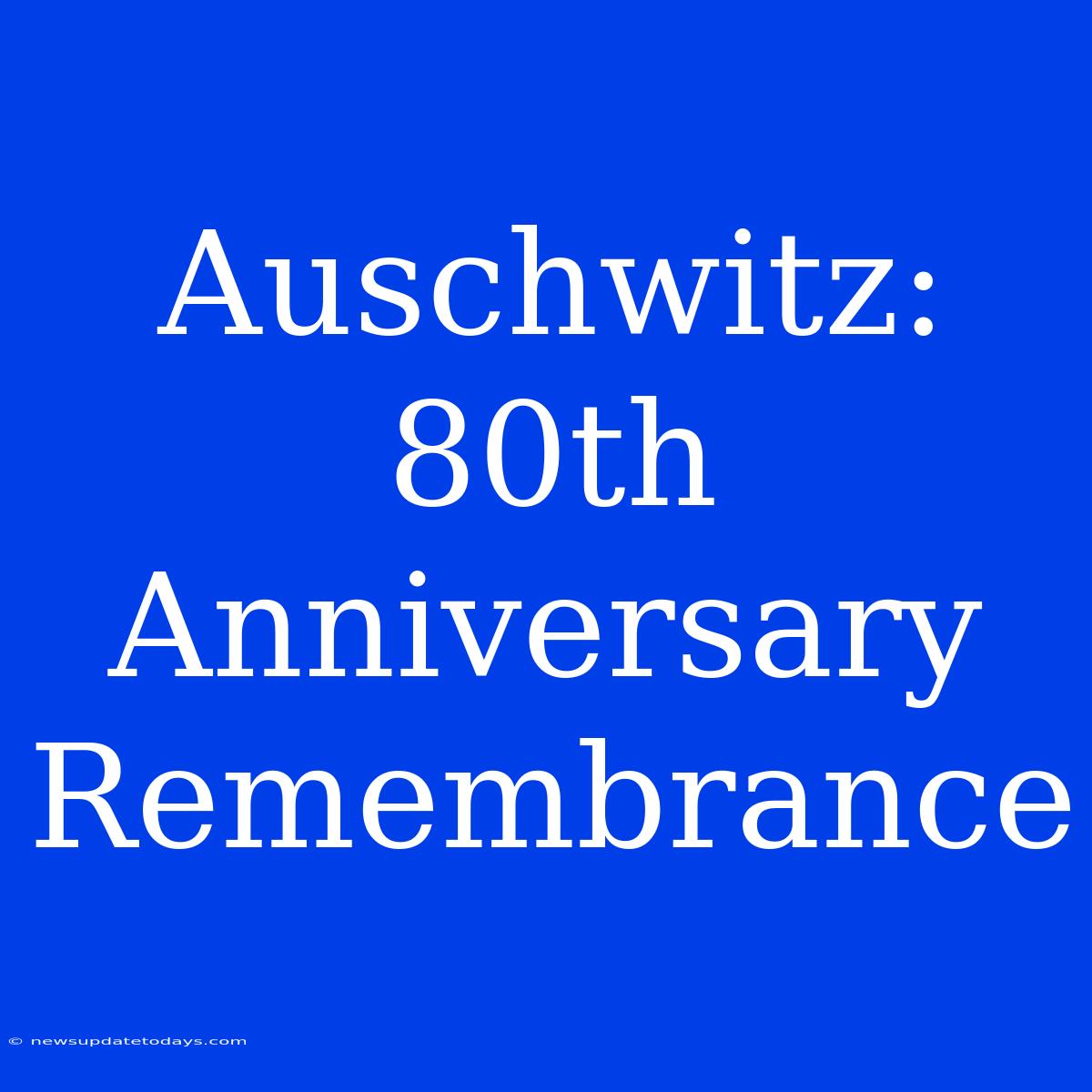 Auschwitz: 80th Anniversary Remembrance