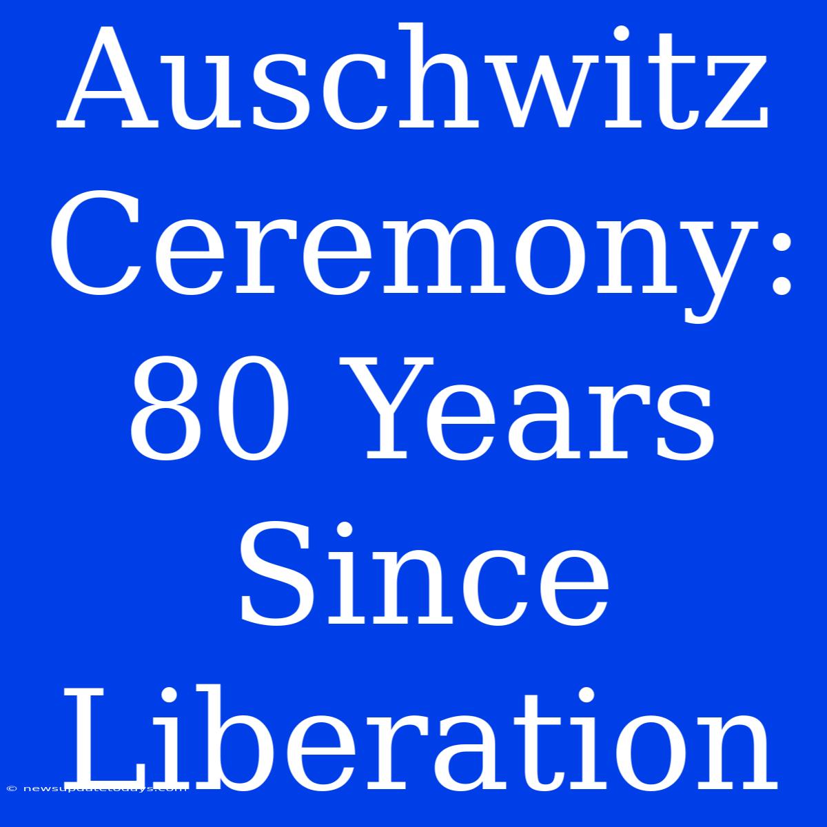 Auschwitz Ceremony: 80 Years Since Liberation