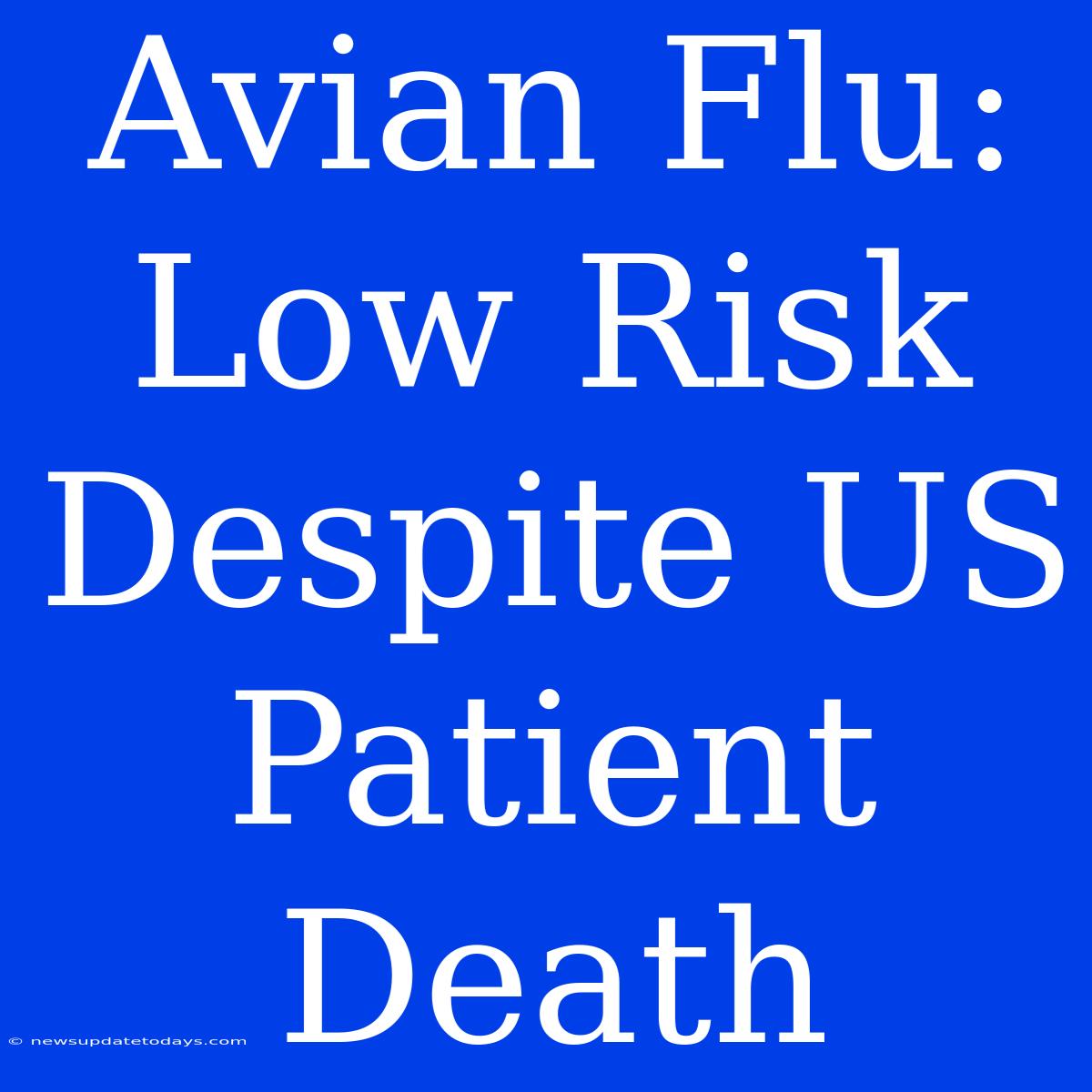 Avian Flu: Low Risk Despite US Patient Death