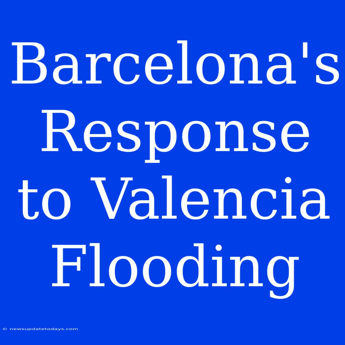 Barcelona's Response To Valencia Flooding