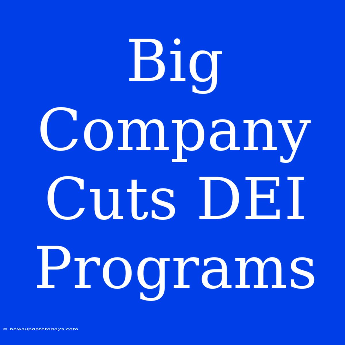 Big Company Cuts DEI Programs