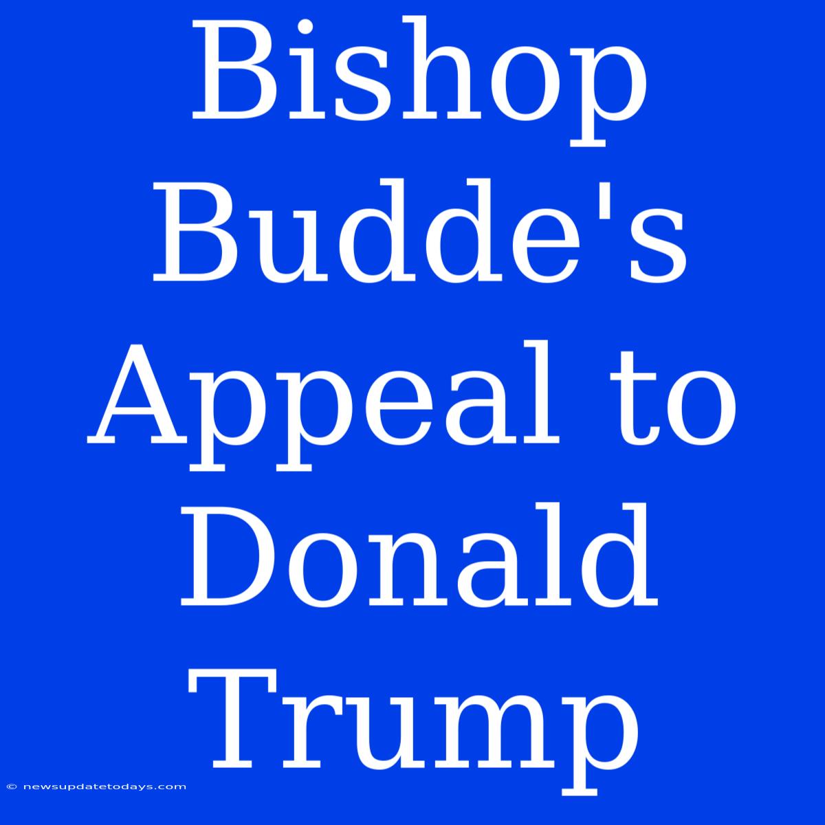 Bishop Budde's Appeal To Donald Trump