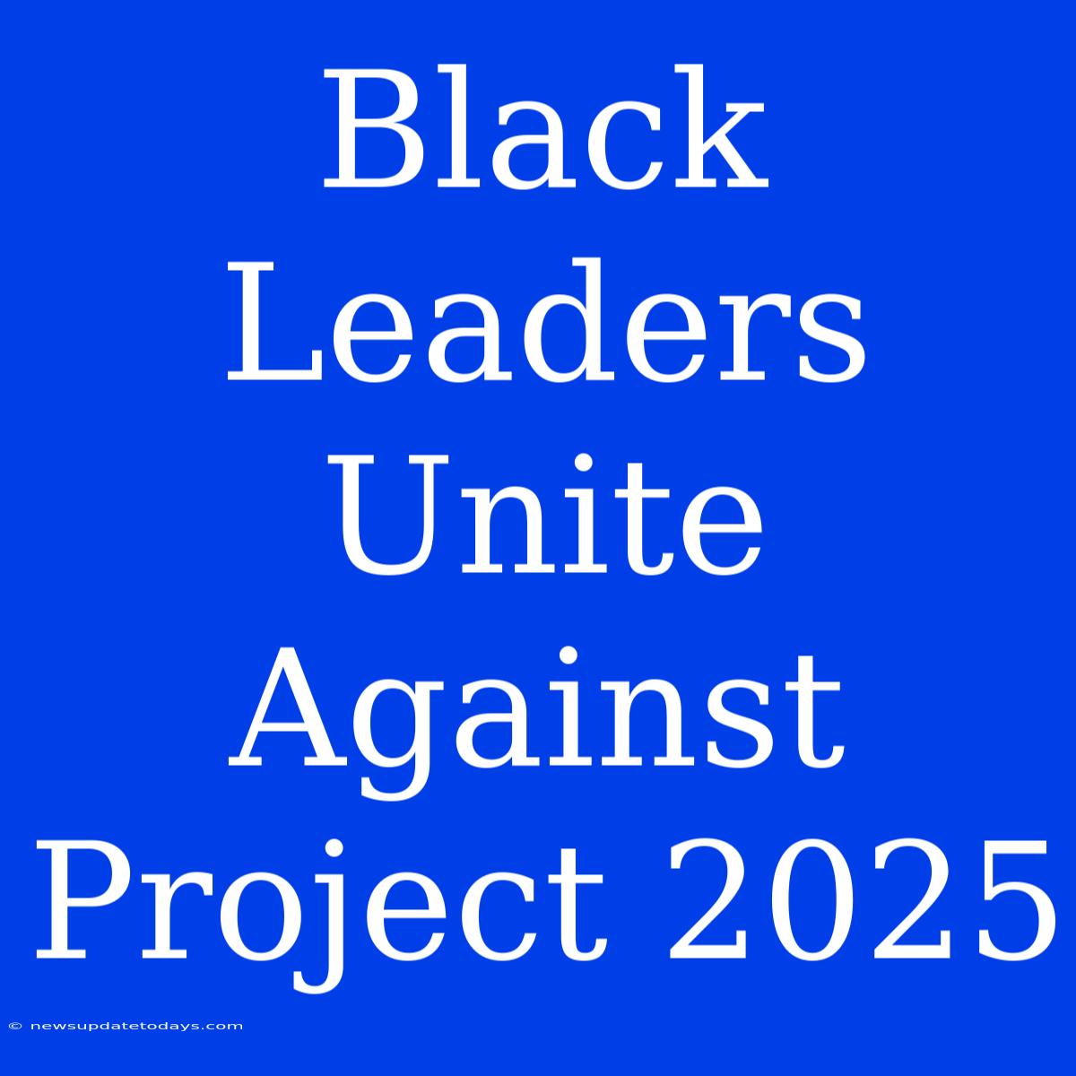 Black Leaders Unite Against Project 2025