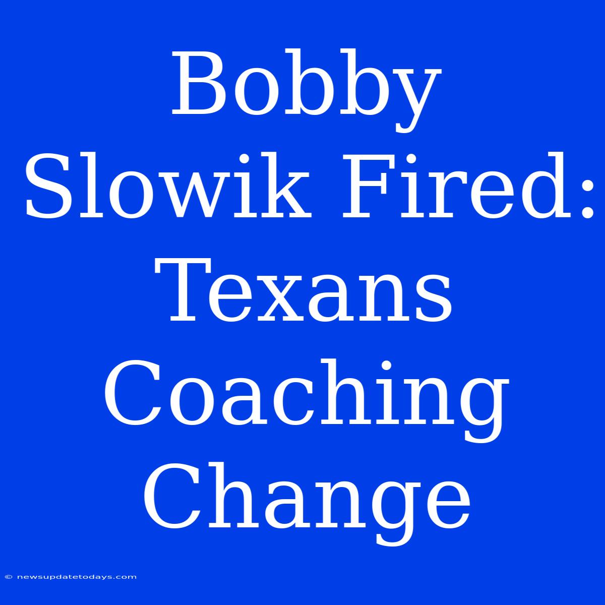 Bobby Slowik Fired: Texans Coaching Change