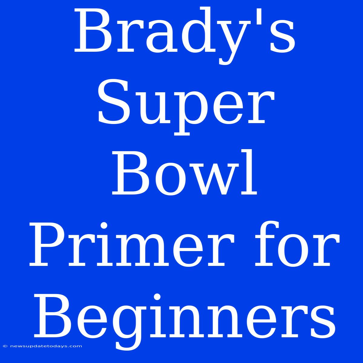 Brady's Super Bowl Primer For Beginners