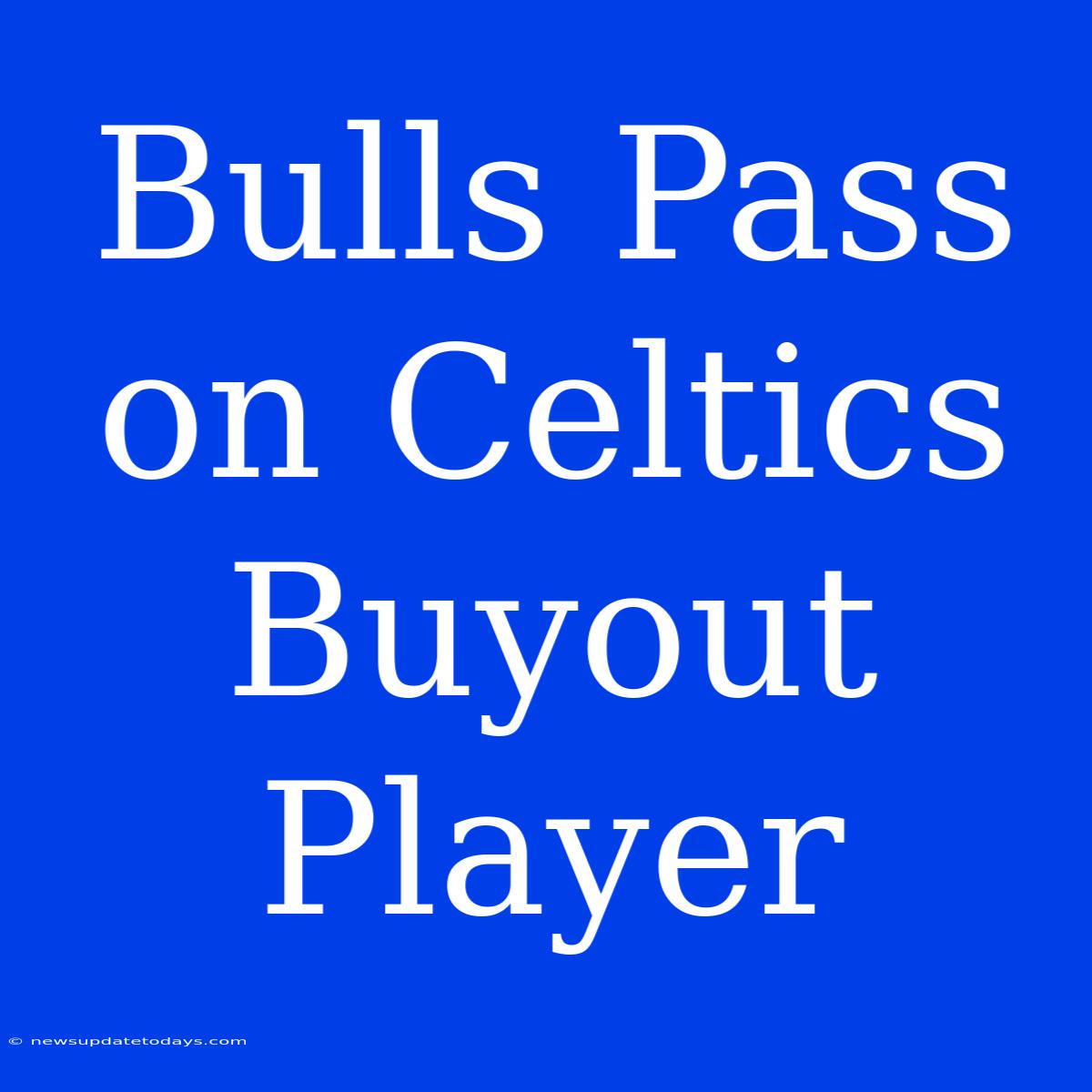 Bulls Pass On Celtics Buyout Player