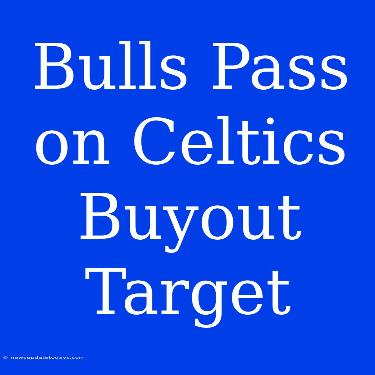 Bulls Pass On Celtics Buyout Target