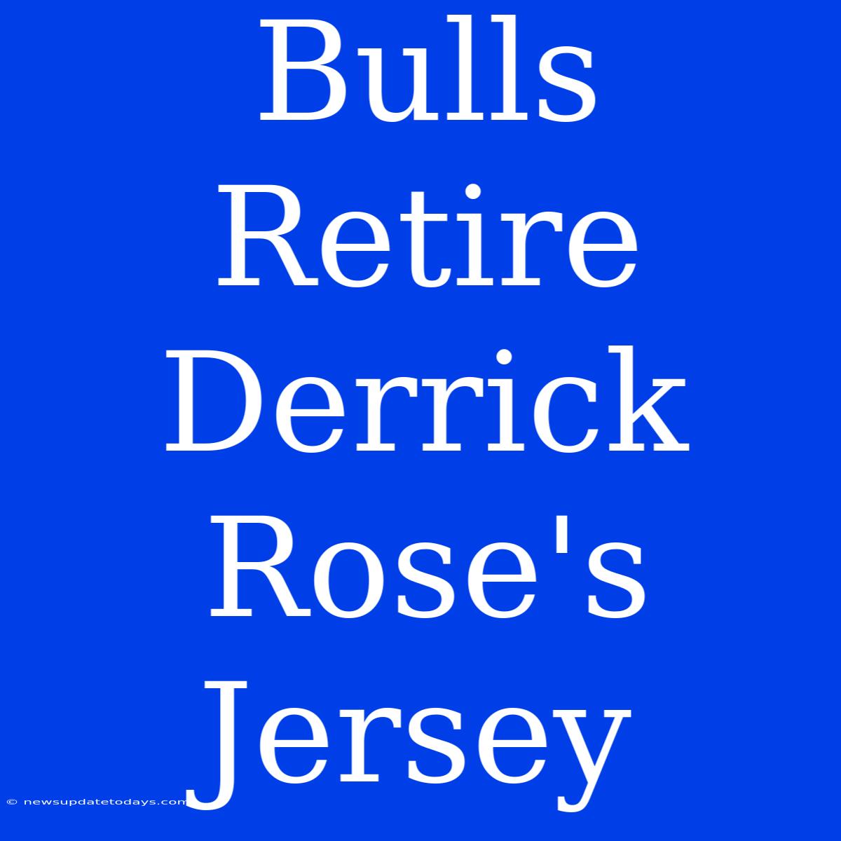 Bulls Retire Derrick Rose's Jersey