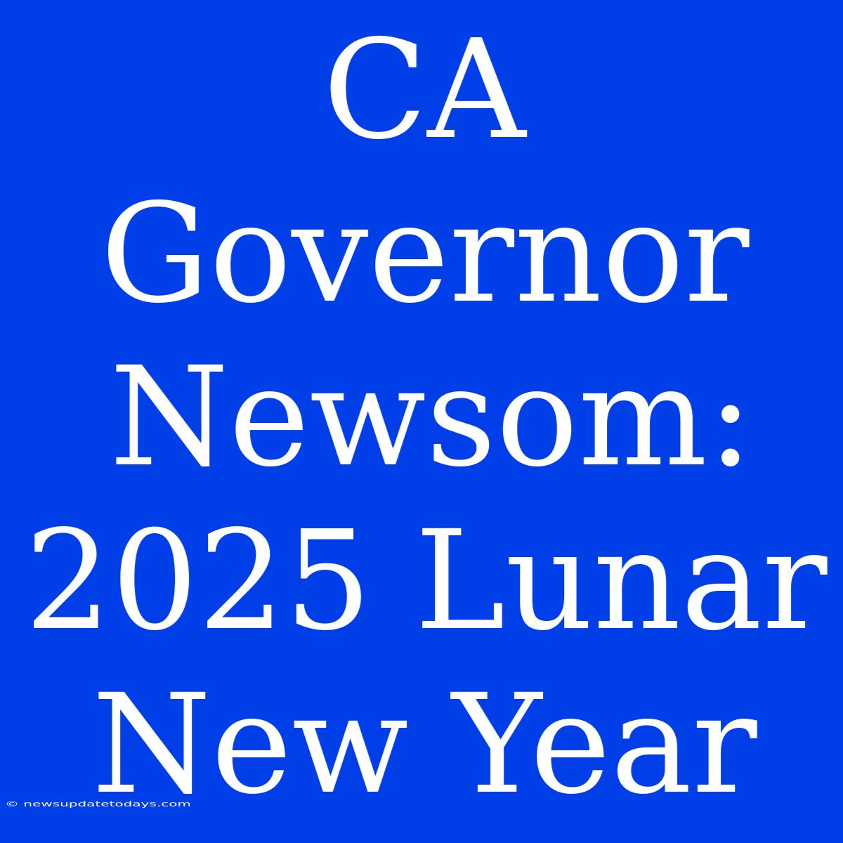 CA Governor Newsom: 2025 Lunar New Year