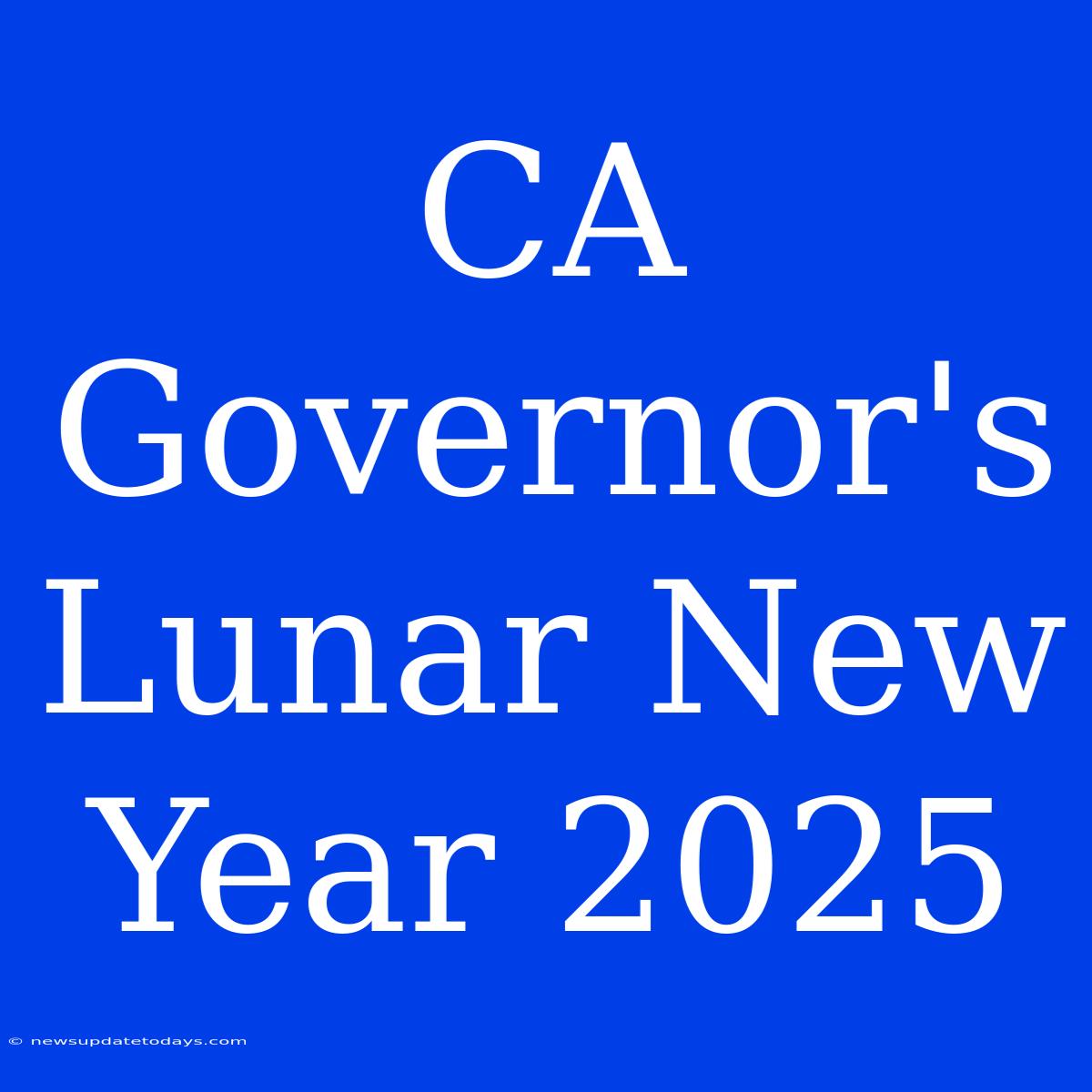 CA Governor's Lunar New Year 2025