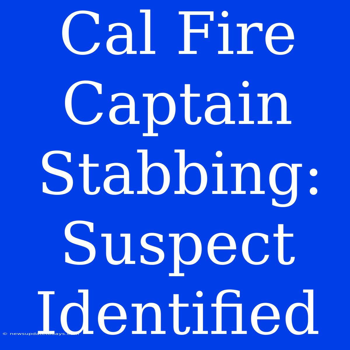 Cal Fire Captain Stabbing: Suspect Identified