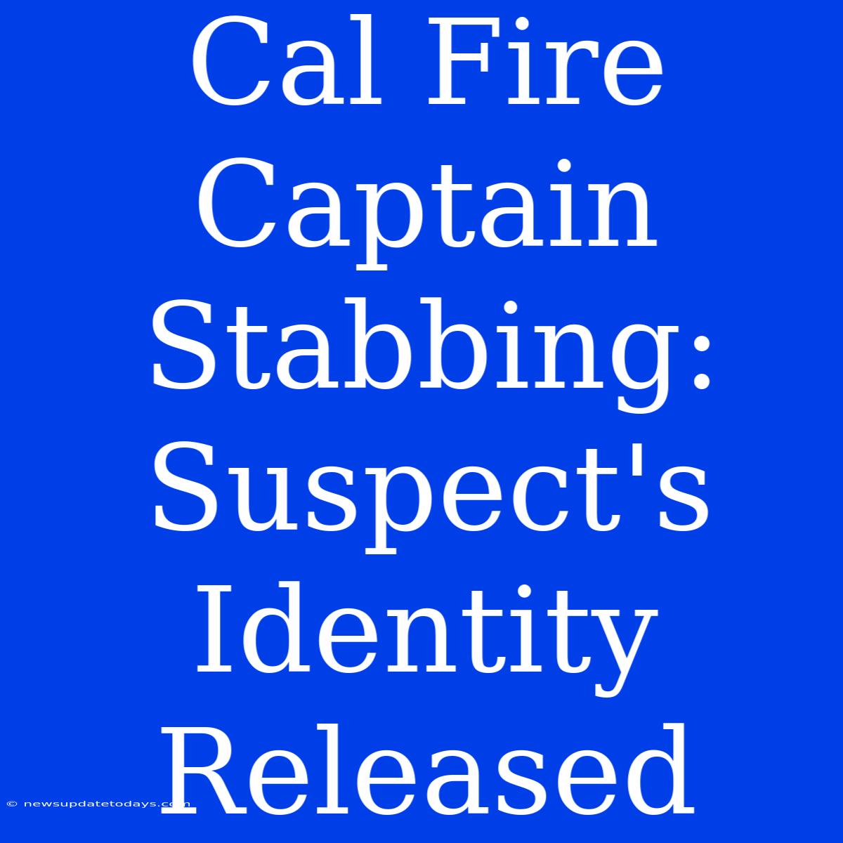 Cal Fire Captain Stabbing: Suspect's Identity Released