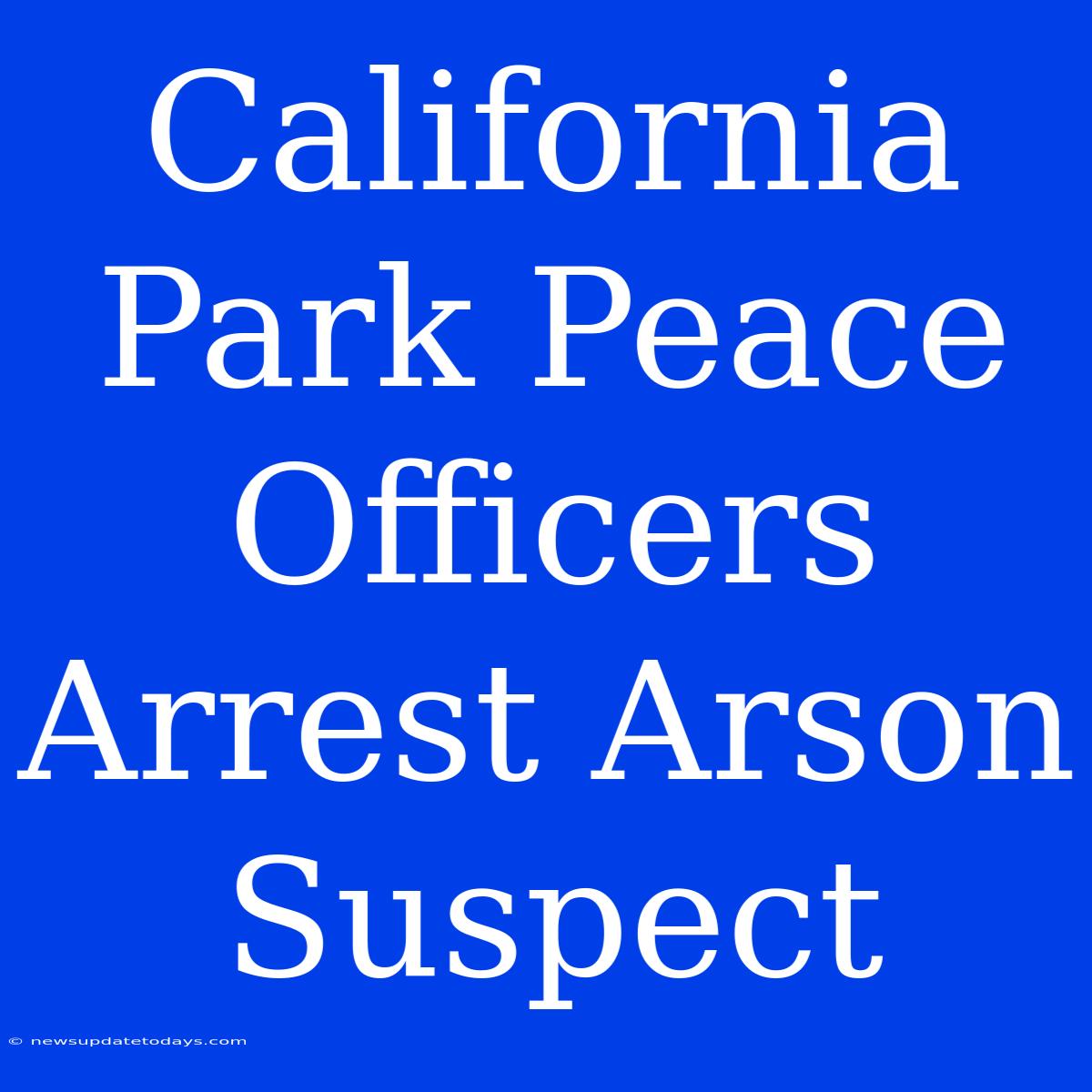 California Park Peace Officers Arrest Arson Suspect