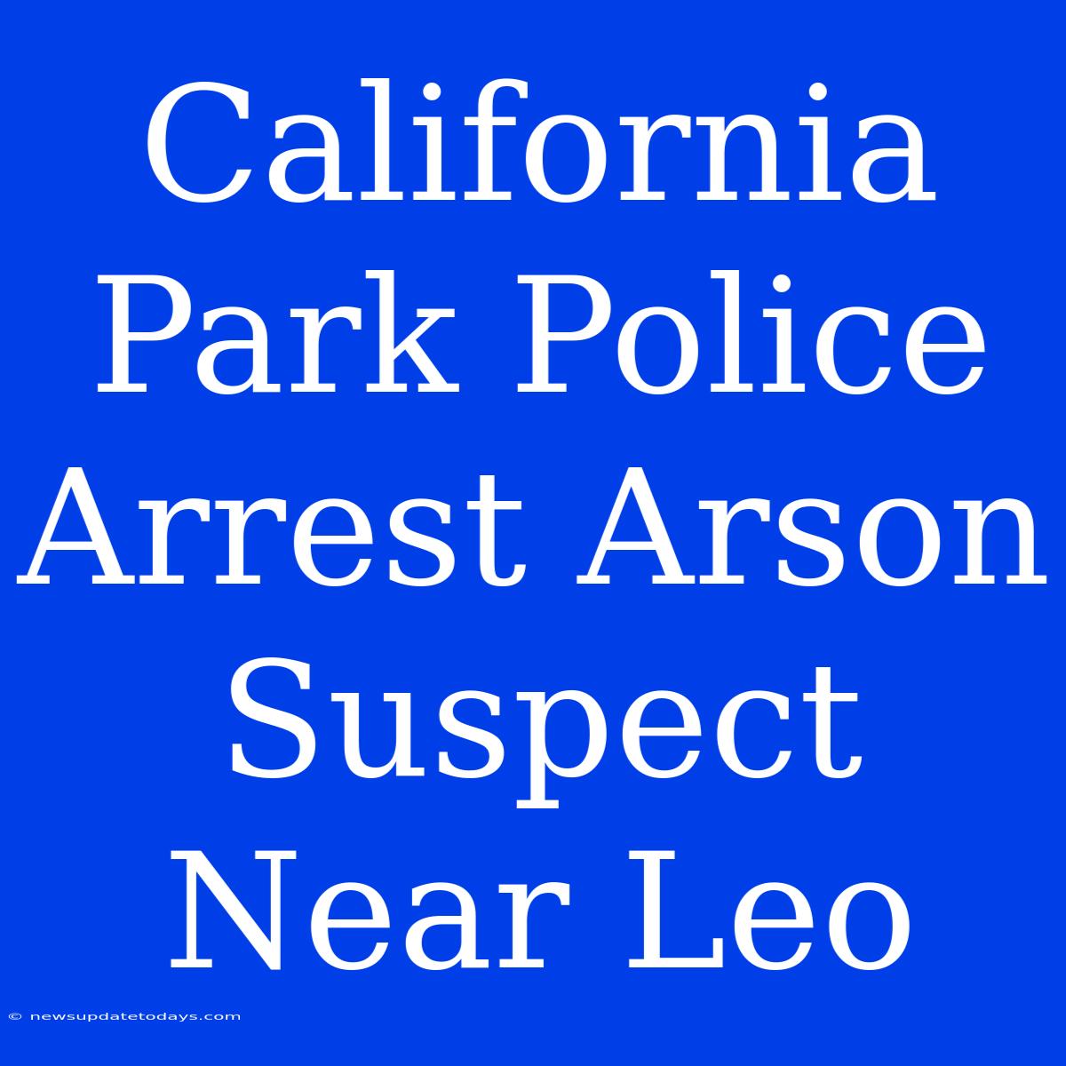 California Park Police Arrest Arson Suspect Near Leo