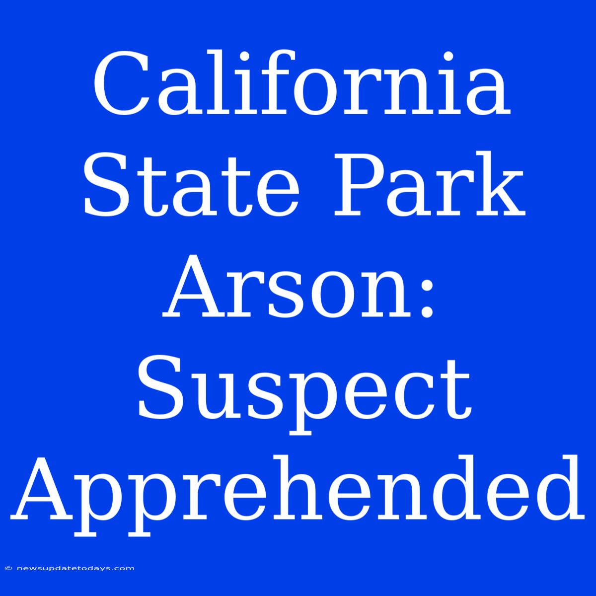 California State Park Arson: Suspect Apprehended