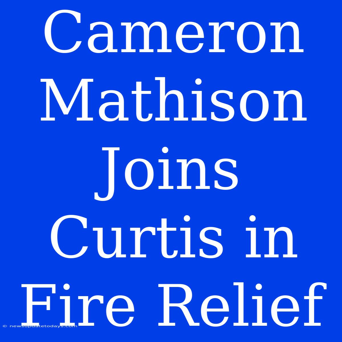 Cameron Mathison Joins Curtis In Fire Relief