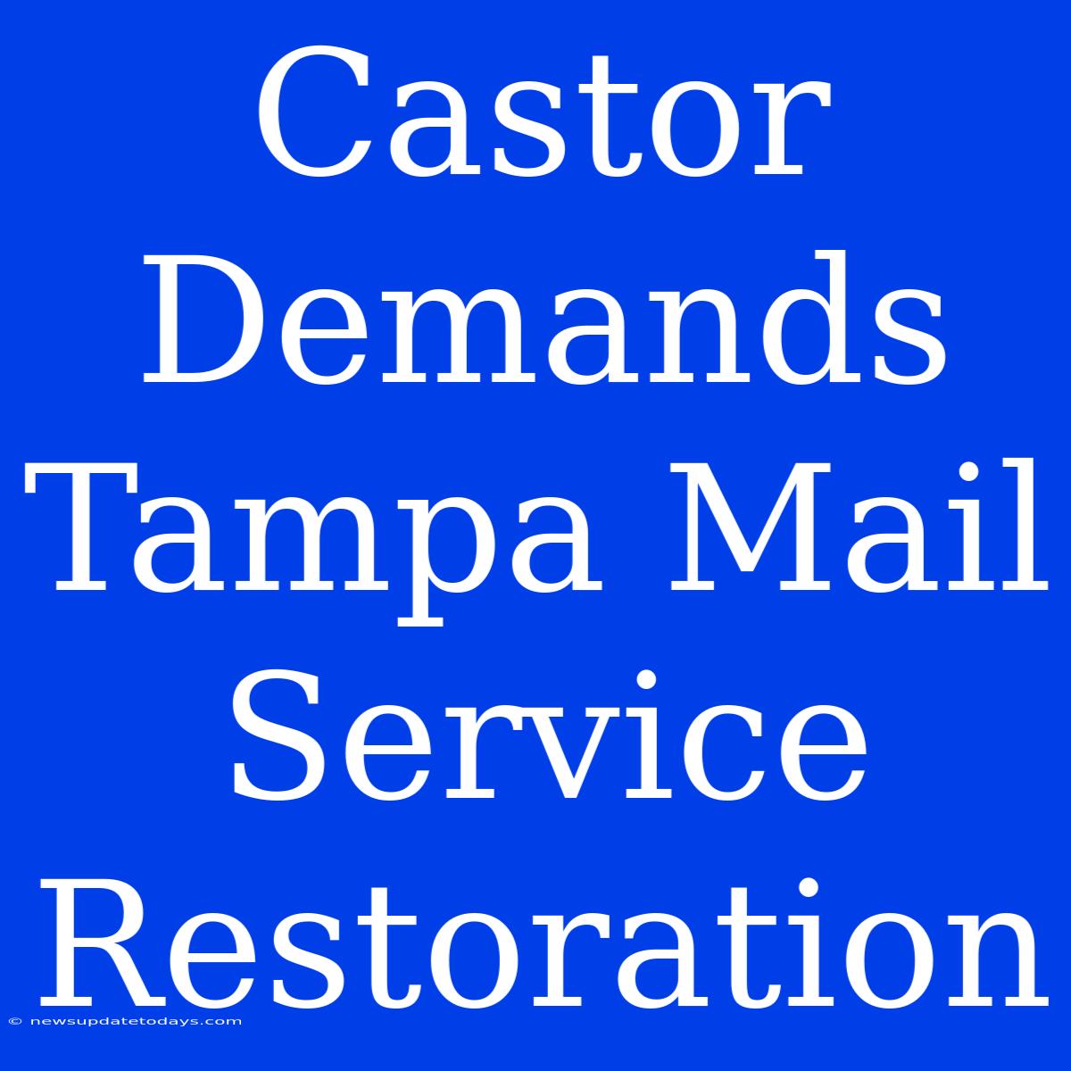 Castor Demands Tampa Mail Service Restoration