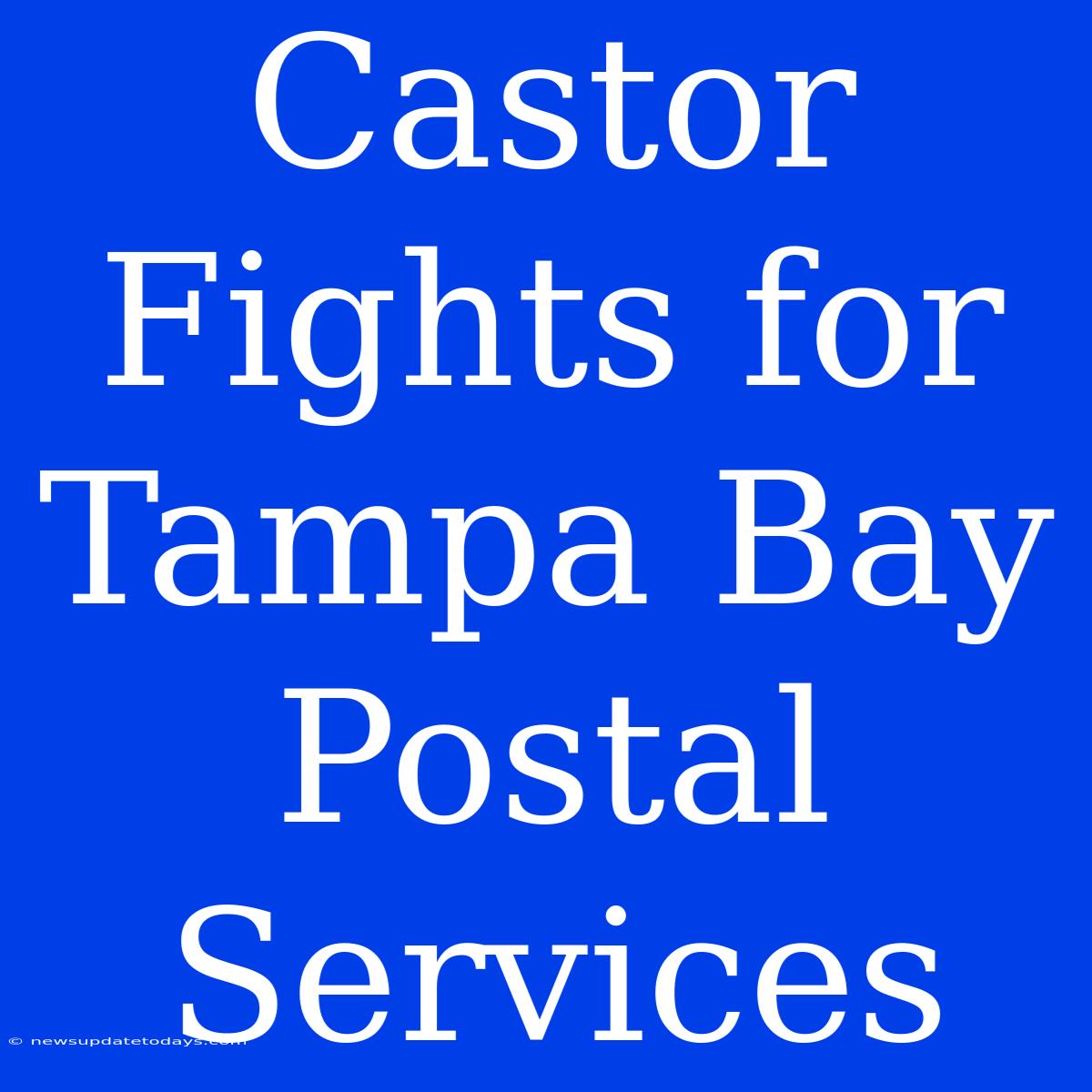 Castor Fights For Tampa Bay Postal Services