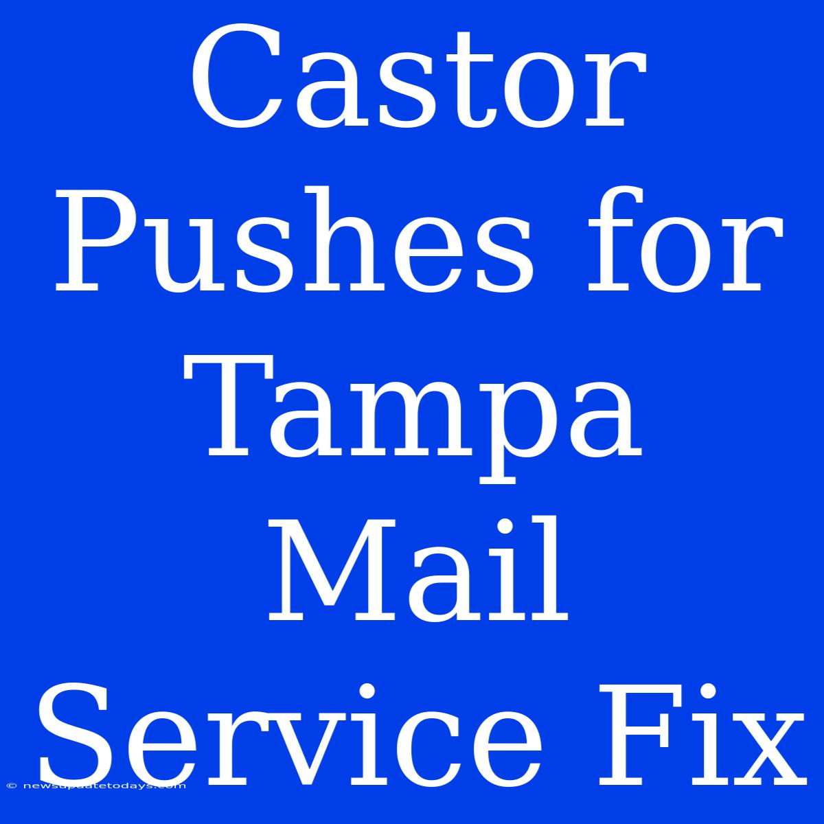 Castor Pushes For Tampa Mail Service Fix