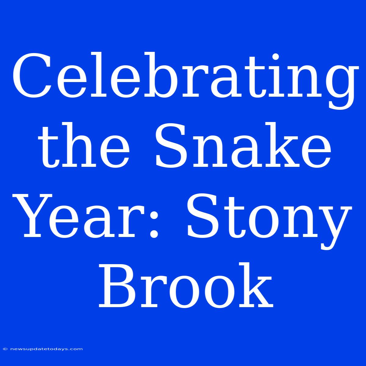 Celebrating The Snake Year: Stony Brook