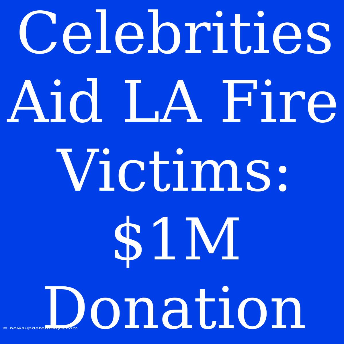 Celebrities Aid LA Fire Victims: $1M Donation