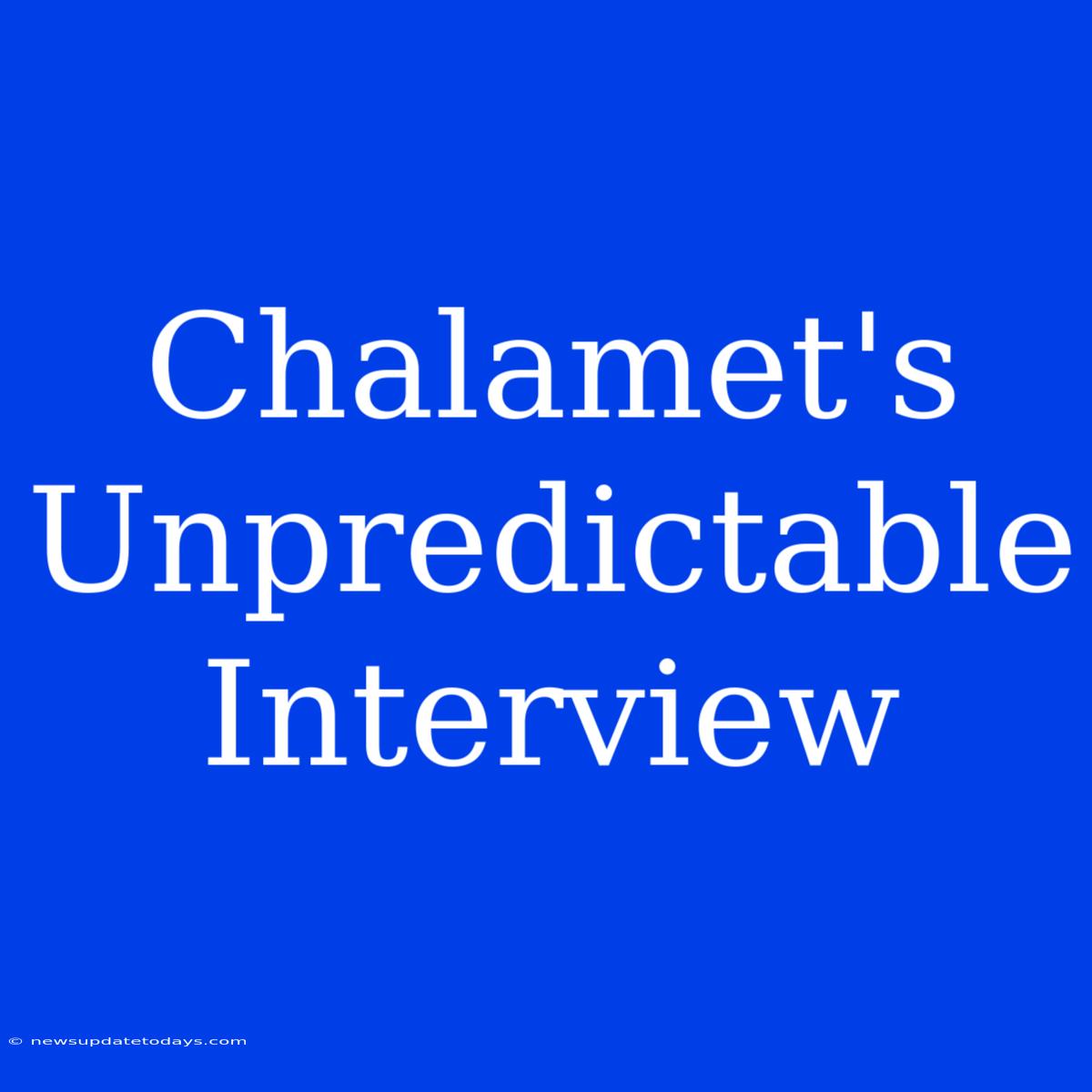 Chalamet's Unpredictable Interview