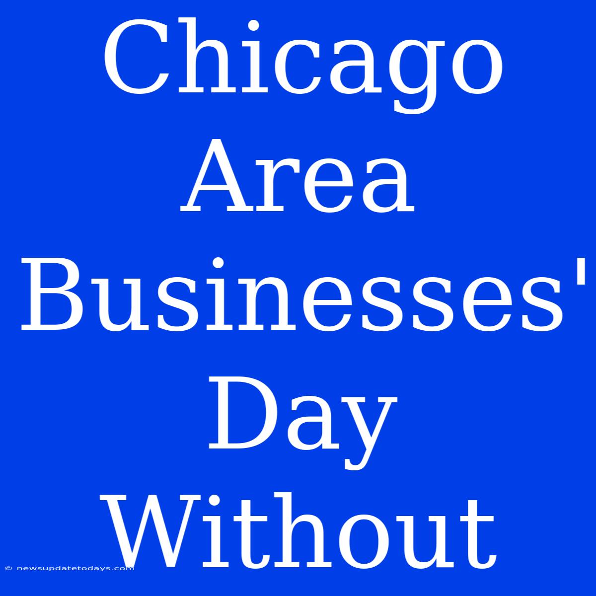 Chicago Area Businesses' Day Without