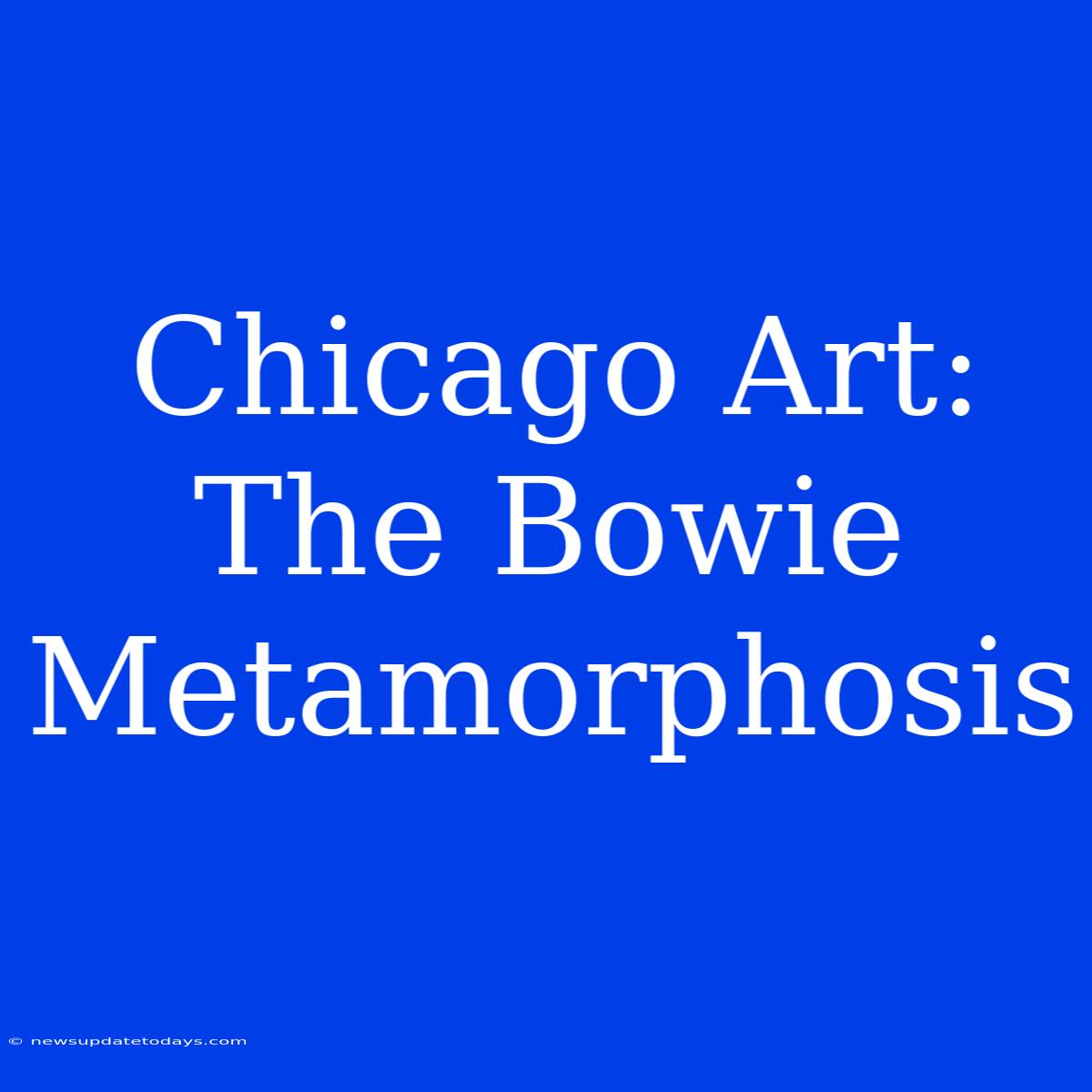 Chicago Art: The Bowie Metamorphosis