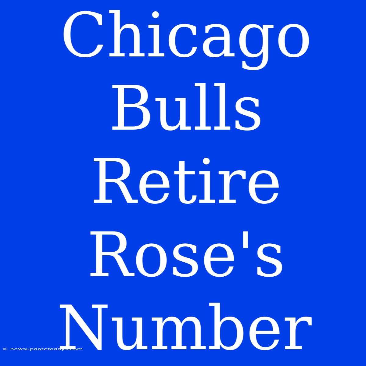 Chicago Bulls Retire Rose's Number