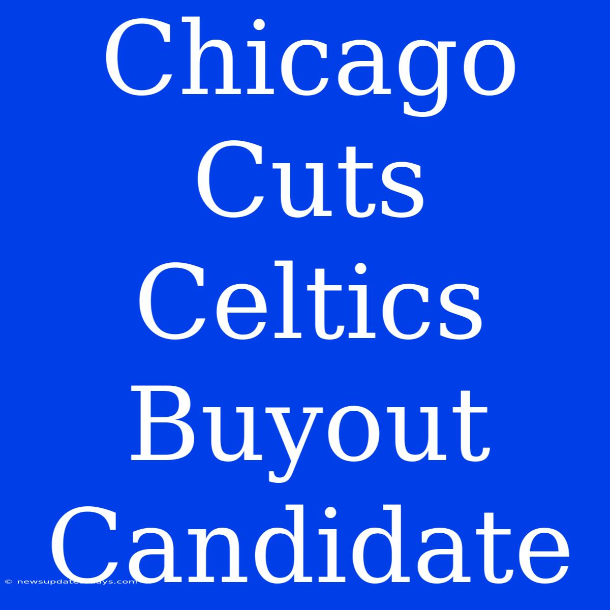 Chicago Cuts Celtics Buyout Candidate