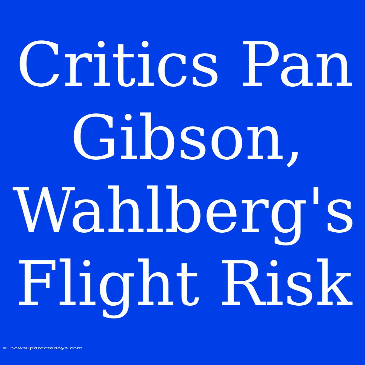 Critics Pan Gibson, Wahlberg's Flight Risk