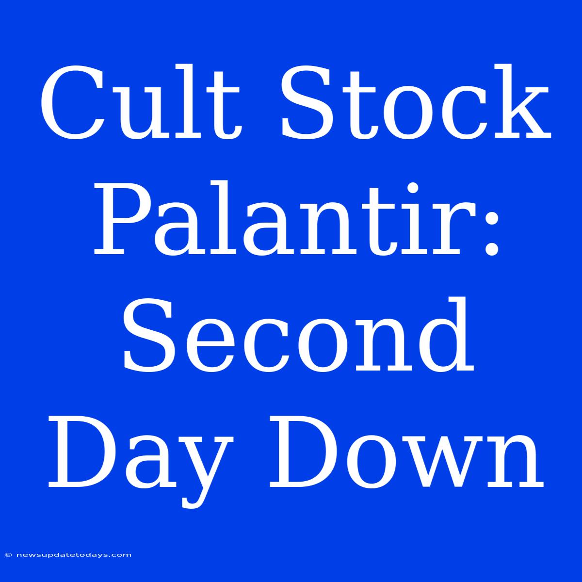 Cult Stock Palantir: Second Day Down