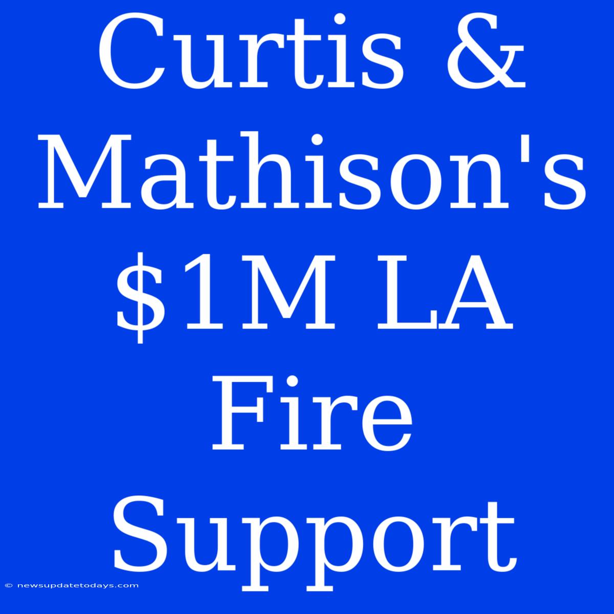 Curtis & Mathison's $1M LA Fire Support