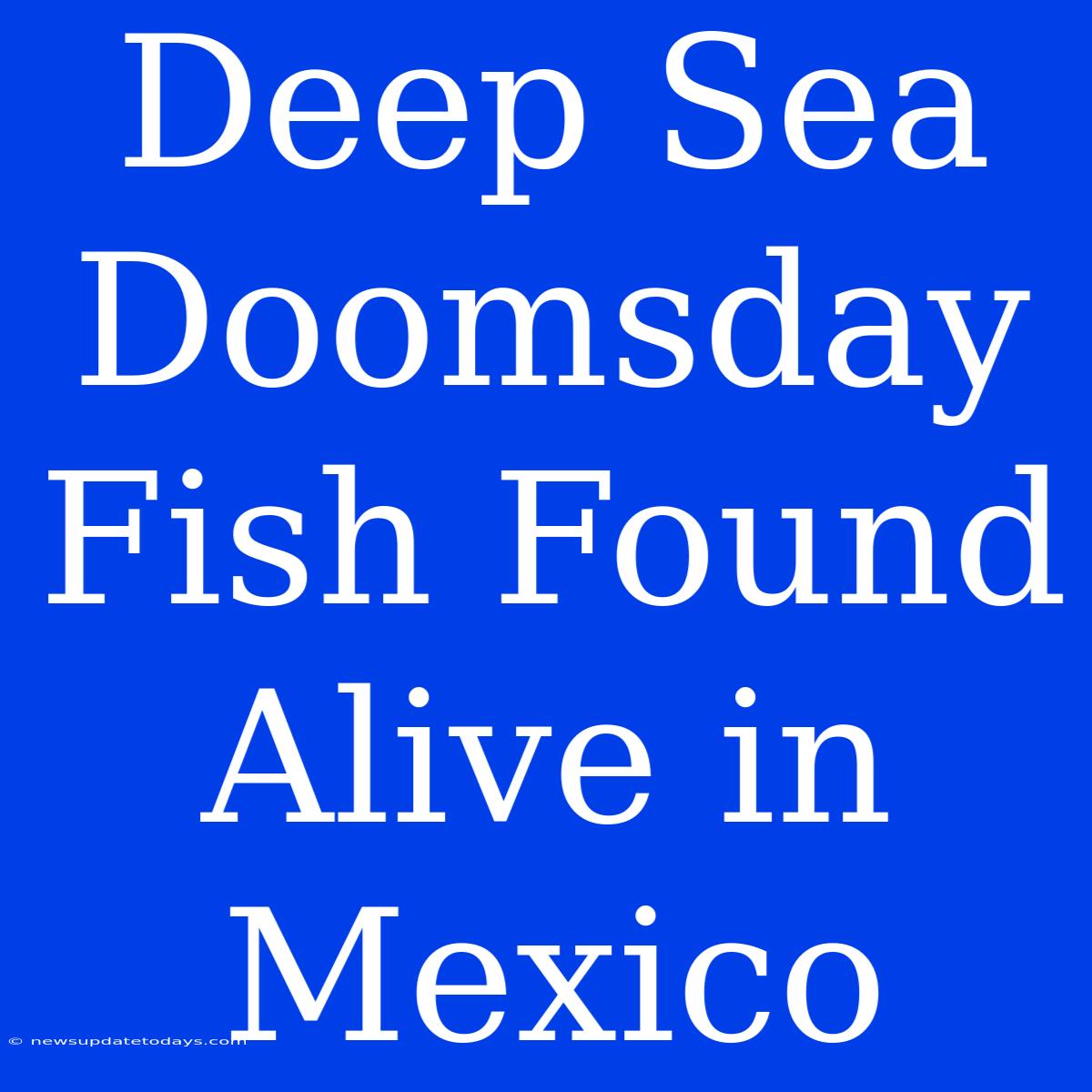 Deep Sea Doomsday Fish Found Alive In Mexico