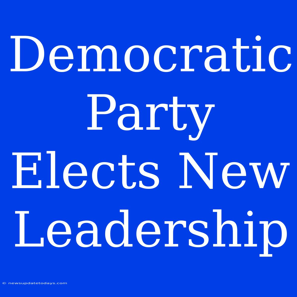 Democratic Party Elects New Leadership