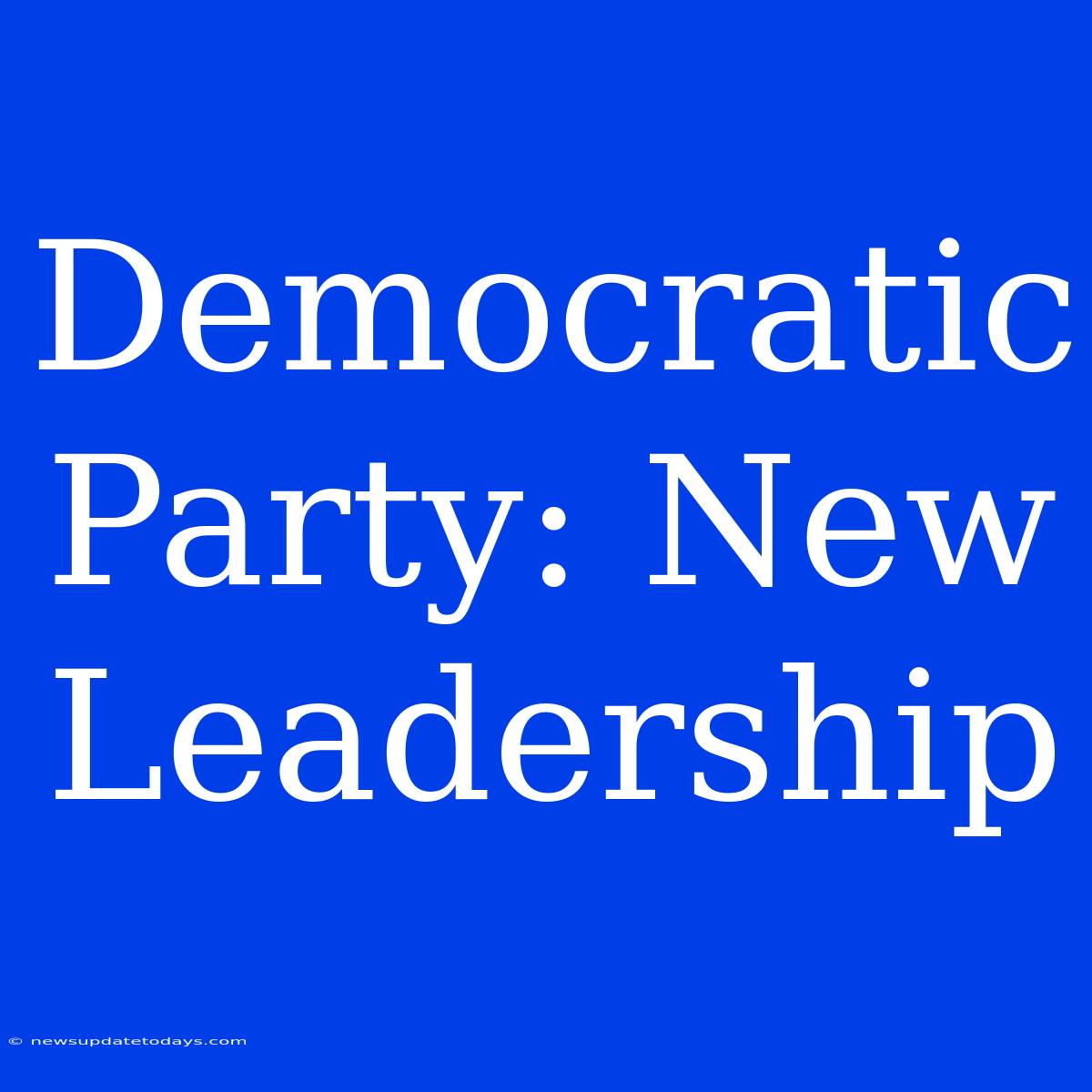 Democratic Party: New Leadership